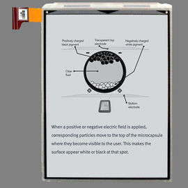 kopen PVI EPD 7,8 inch E papier display module, 1404 * 1872 pixels Digitaal papier display online manufacture