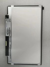 kopen BOE 11,6 